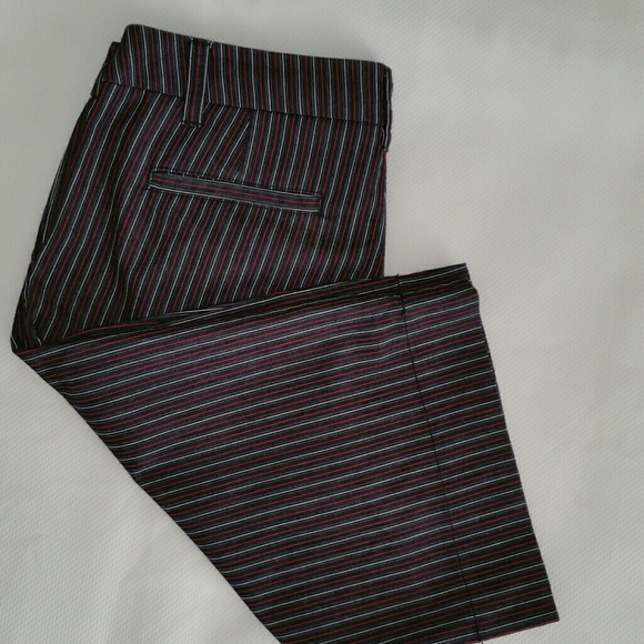 🔴 Manhattan Chino short - Picture 8 of 8